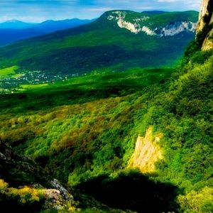 Meet your Posher, Lily